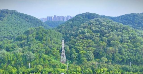 南宁五象岭森林公园冷清的原因及解决路径