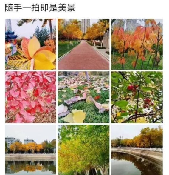 白银人的朋友圈：秋日的温暖与希望