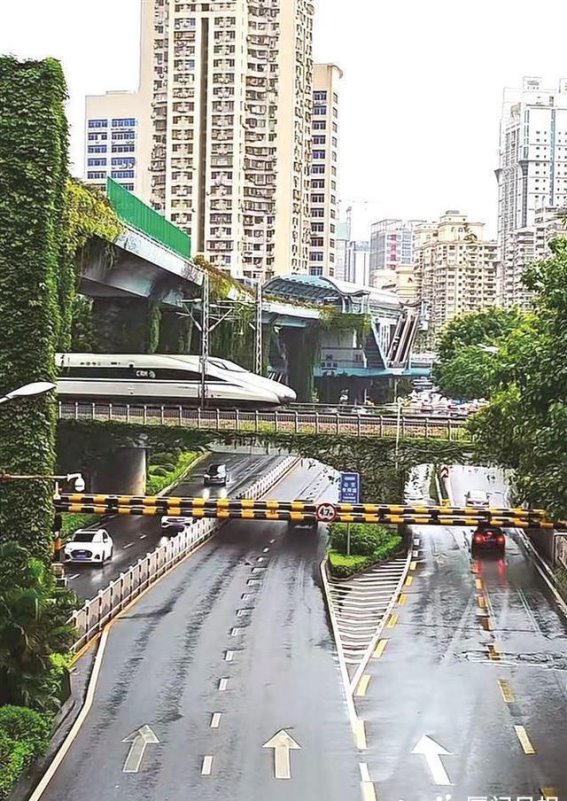 厦门的“动与飞”：网红打卡地背后的城市韵味