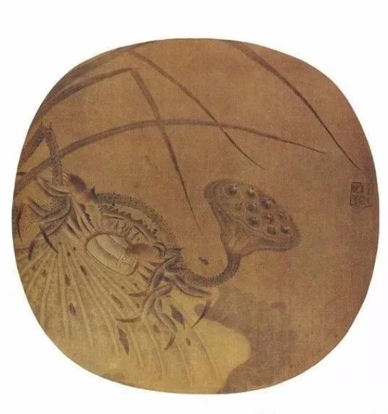 女儿的莲蓬：远方的关爱与家乡的情愫