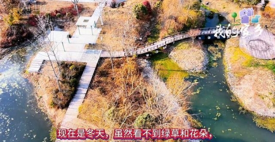 冬日里的鲤鱼湖