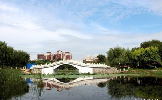 长春劳动公园：城市中的自然奇迹