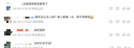 警钟长鸣：从“鲤鱼之死”看生态文明