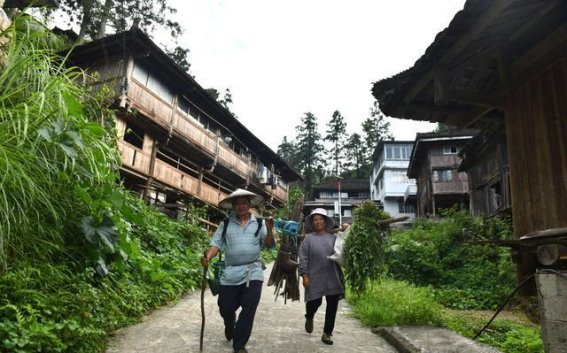 云端古寨的传承与振兴：探秘广西尧告村