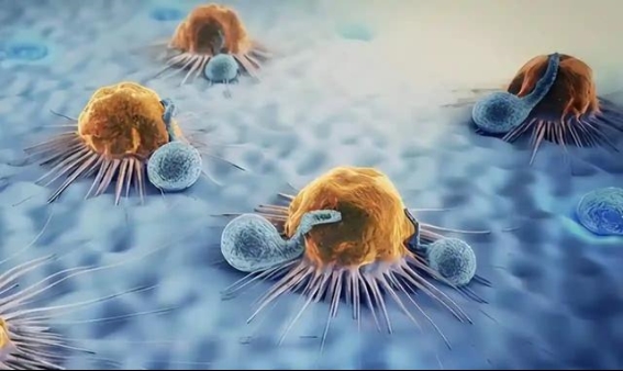 橘子的抗炎潜力：24小时内能清除60%炎症因子？