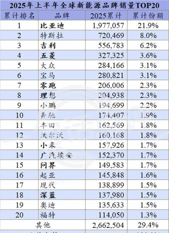 2024年全球新能源车市场格局深刻变化：自主品牌逐步崛起，特斯拉稳居领导者