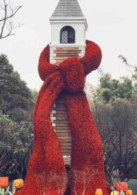 昆明翠湖公园红围巾景点吸引游客热议，打造冬日浪漫与节日氛围