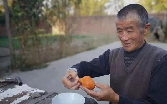 柿子丰收季节，适合与否需谨慎