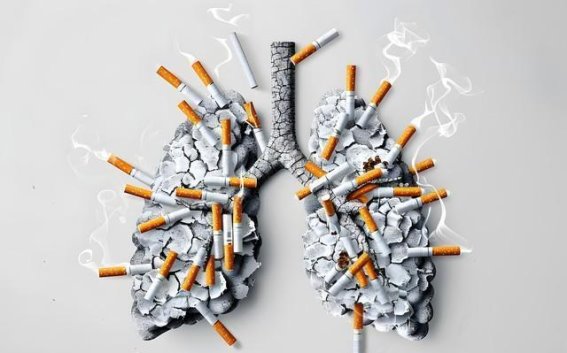 55岁吸烟对寿命的影响：科学研究与戒烟的希望