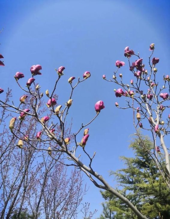 春光中的智慧与人生：在岁月流转中找到健康与幸福的秘诀