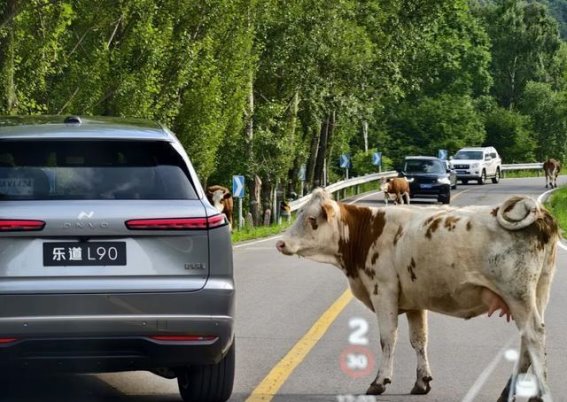 乐道L90：17万价格带来30万质感，性价比与豪华并存？