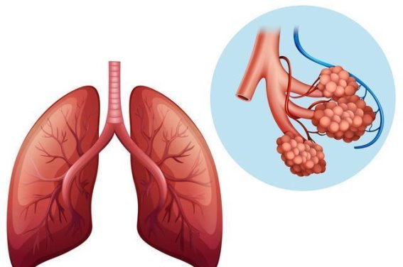 肺癌早期症状竟藏双腿？四大警示信号提前筛查至关重要