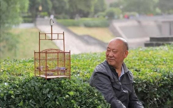 53岁男子癌症晚期的真实案例：饮酒的隐患与警示