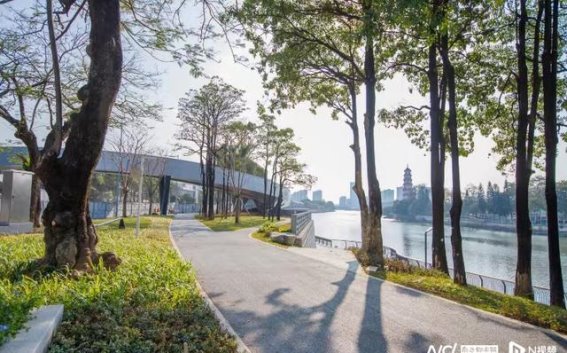 东莞人居环境焕新记：解析“最美榜单”背后的城市美学