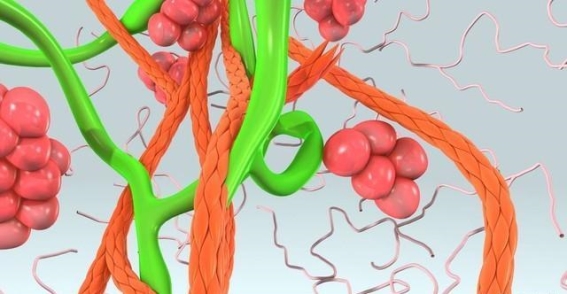 睡觉时突然腿抽筋的真正原因与健康隐患