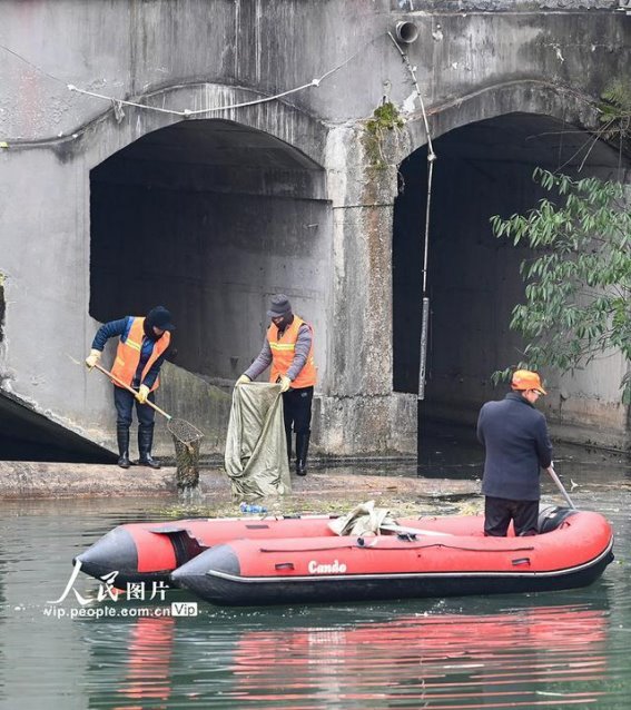 酉阳：守护碧水，绘就生态新画卷