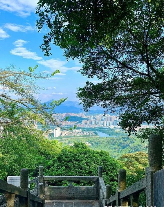 广州风云岭森林公园：一场穿越自然的徒步之旅