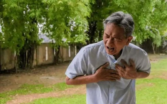 散步与心脏健康：医生告诉你如何科学保护心脏