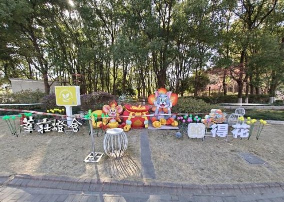 2025莘庄灯会：传统与现代交织的璀璨盛典