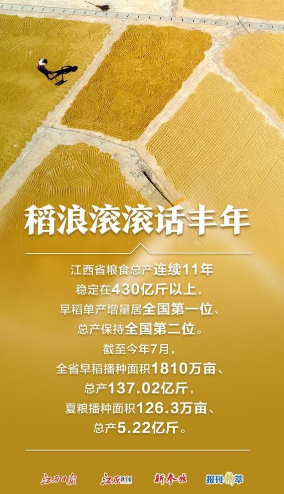 江西的金秋丰收：丰饶的盛宴与希望的交响