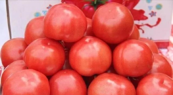 90%的人不知道，西红柿竟然可以防血栓，吃法得当效果加倍