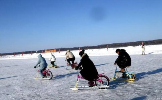 春节研学游：伊春嘉荫的恐龙与冰雪之旅