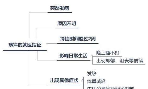 夏季瘙痒：如何应对“痒痒包”带来的困扰