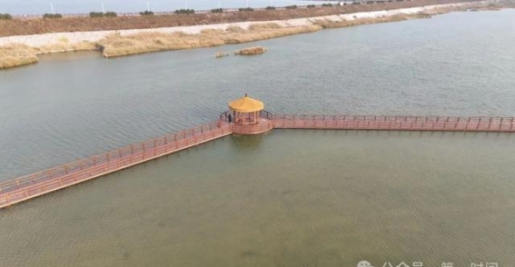 亲水观光木栈道：走近盐湖的别样风景