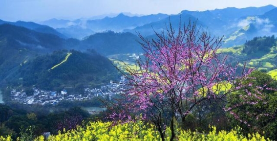 故乡的春，清明的情