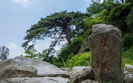 泰安：泰山脚下的文化之旅