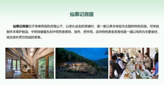总有一条茶旅线路，带你感受衢州的独特茶韵