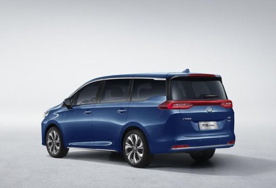 青岛栈桥的海鸥奇观：最佳观赏时间与完美行程指南