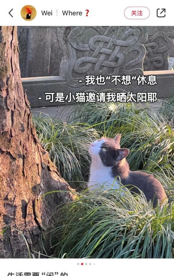 2024年，重新认识自己和世界的这一年