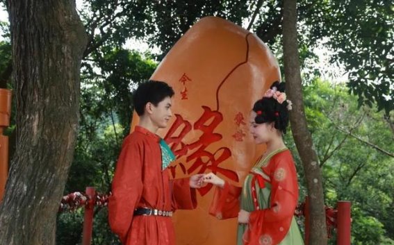 春日里的桃花缘，观音山网红桃林惊艳亮相