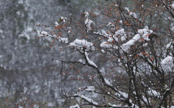 中国黄龙 初见如莲 重逢更美