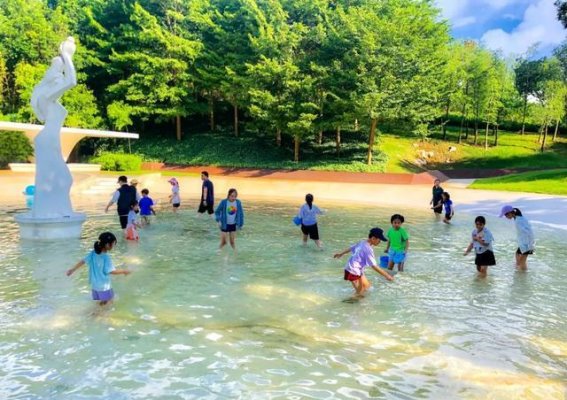 五一出游，南宁园博园与青秀山，畅享自然与欢乐的完美假期