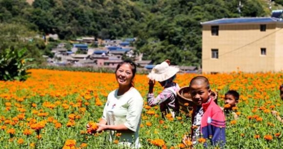 昆明崛起：打造东南亚贸易新高地