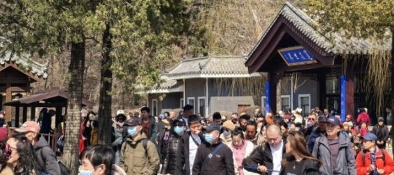 千山景区免票政策引发沈阳游客热潮 春日游玩成新选择