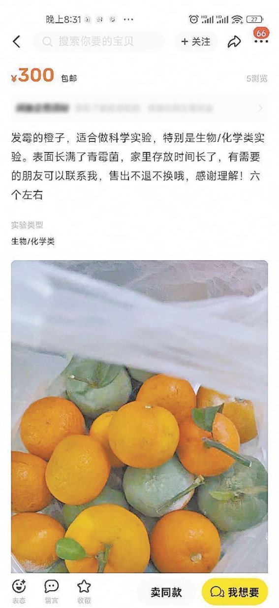发霉物品高价交易引发关注，背后隐藏健康隐患