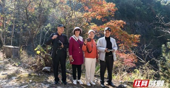 齐云峰的红叶：秋冬交替时的自然奇观