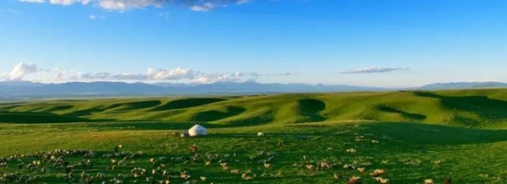 小米模式再现民宿行业：白马野奢的逆袭之路