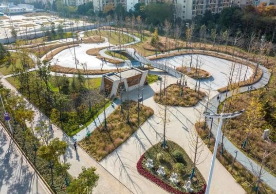 金东方：用光影书写城市更新的辉煌篇章