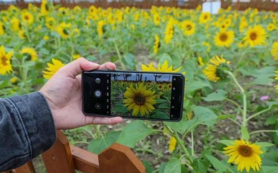 秋日秘境：南桥忆红居红色主题馆2.0与花海的浪漫邂逅