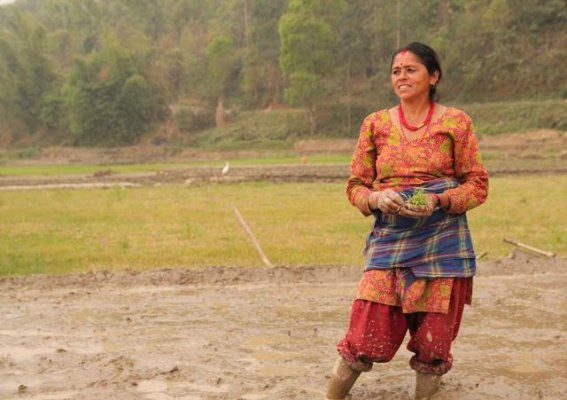 尼泊尔的神秘世界：高原上的生活与信仰