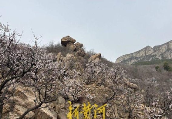 春日经济升温，户外消费热潮悄然兴起，家庭出游成新趋势