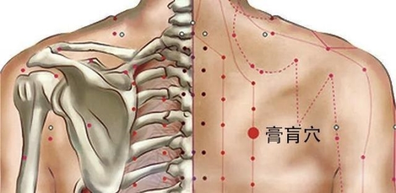 膏肓穴：背部养生的“秘密武器”，调理肺脾虚弱与缓解背部疼痛