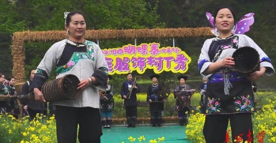 青山田畴间的苗族风尚秀：中黄村的非遗新潮流