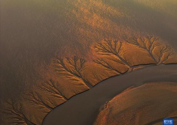 盐城：湿地孕育的绿色宜居之城