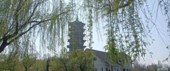 走进胶州少海湿地公园