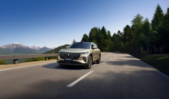 全新岚图知音上市：创新智能与奢华配置的完美结合